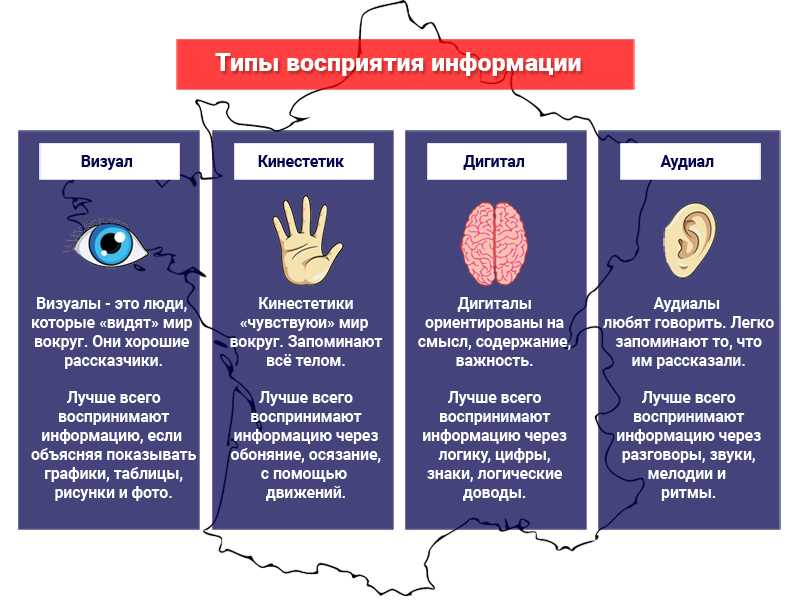 Аудиал, визуал, кинестетик — кто это такие, характеристика