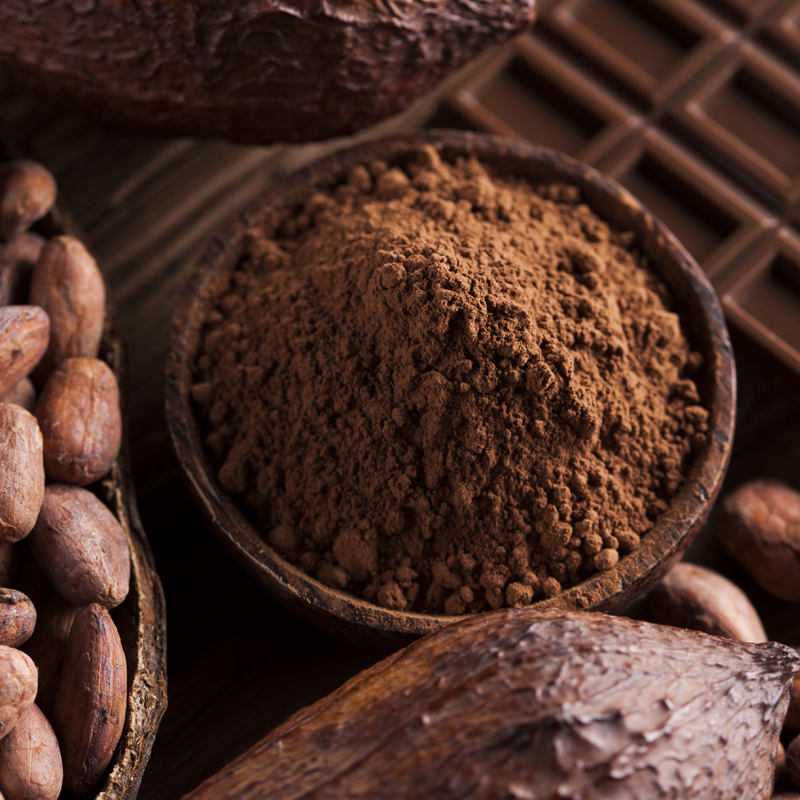 Theobroma cacao seed butter: cosmetic ingredient inci