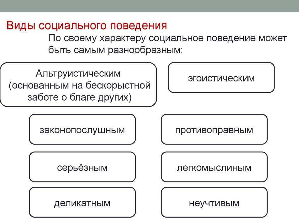 Тезисный план разновидности социального поведения