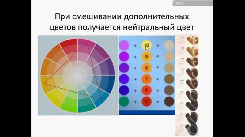 Как пользоваться цветовым кругом при окрашивании волос