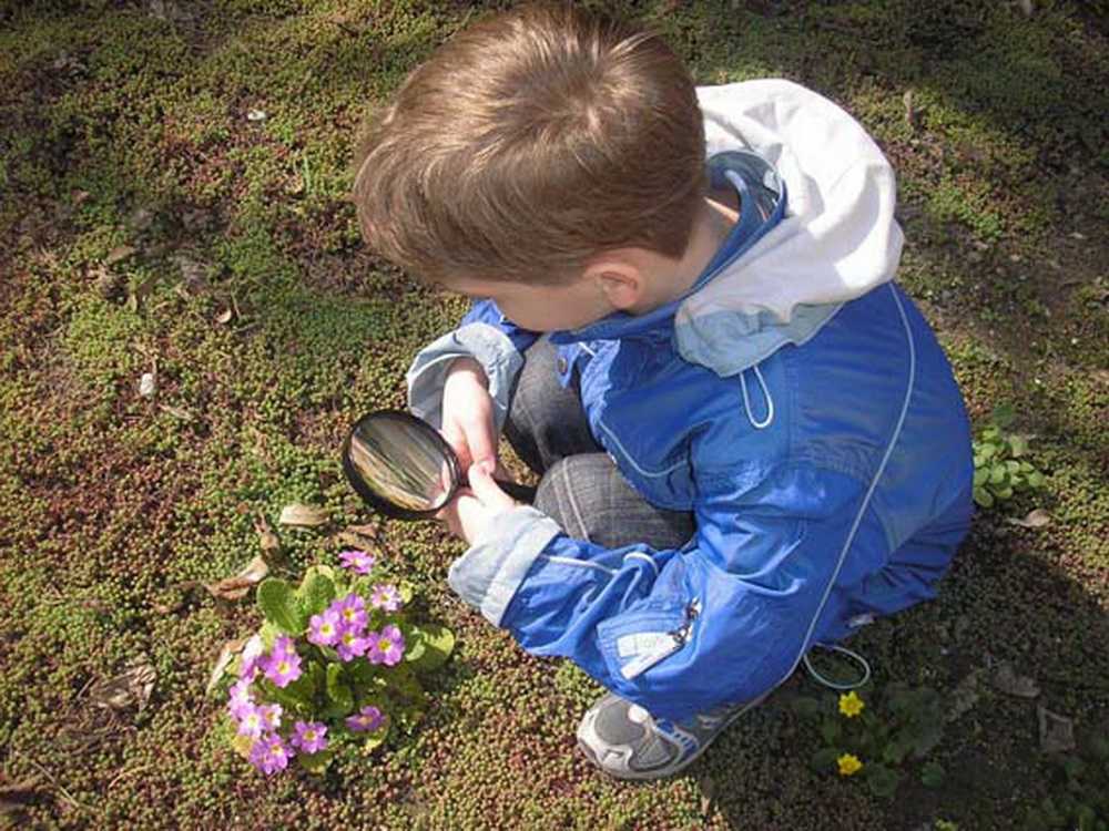 Опыт работы с детьми. Дети наблюдают за природой. Наблюдение в природе. Наблюдение в детском саду. Ддетти наблюдают за природой.