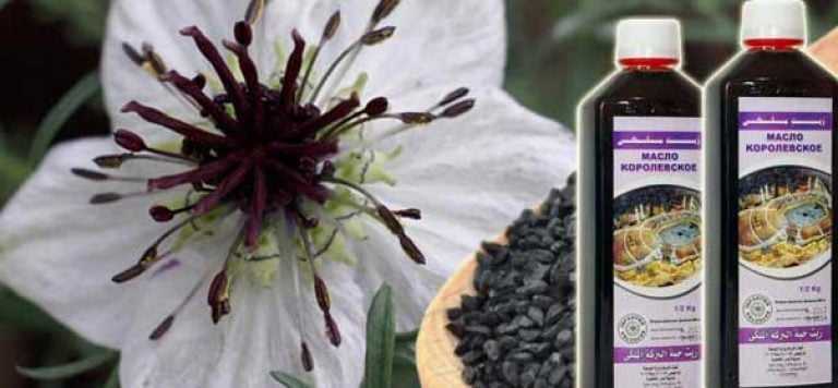 Как и для чего принимать масло черного тмина, чтобы получить максимальную пользу и не нанести вреда организму?