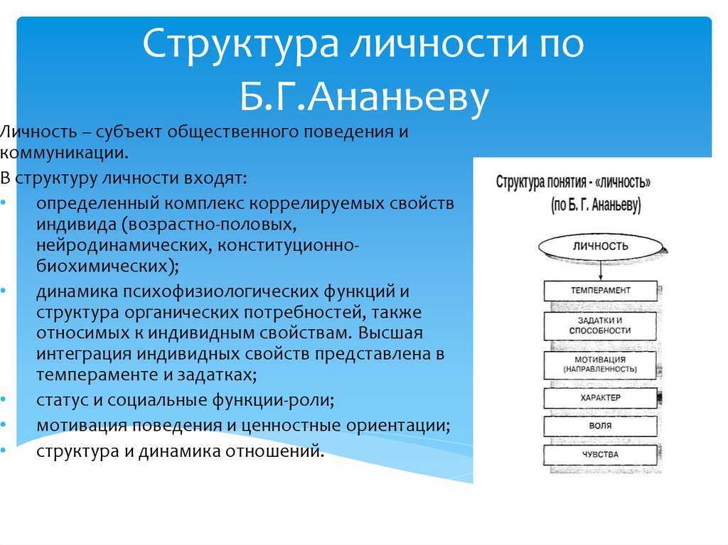 Схема психологической макроструктуры человека по ананьеву