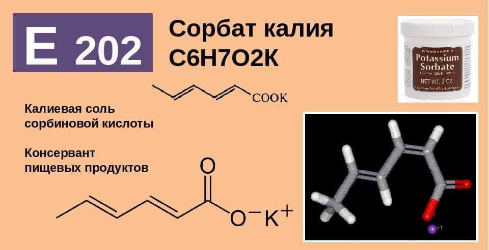 E202 сорбат калия - действие на здоровье, польза и вред, описание - www.calorizator.ru