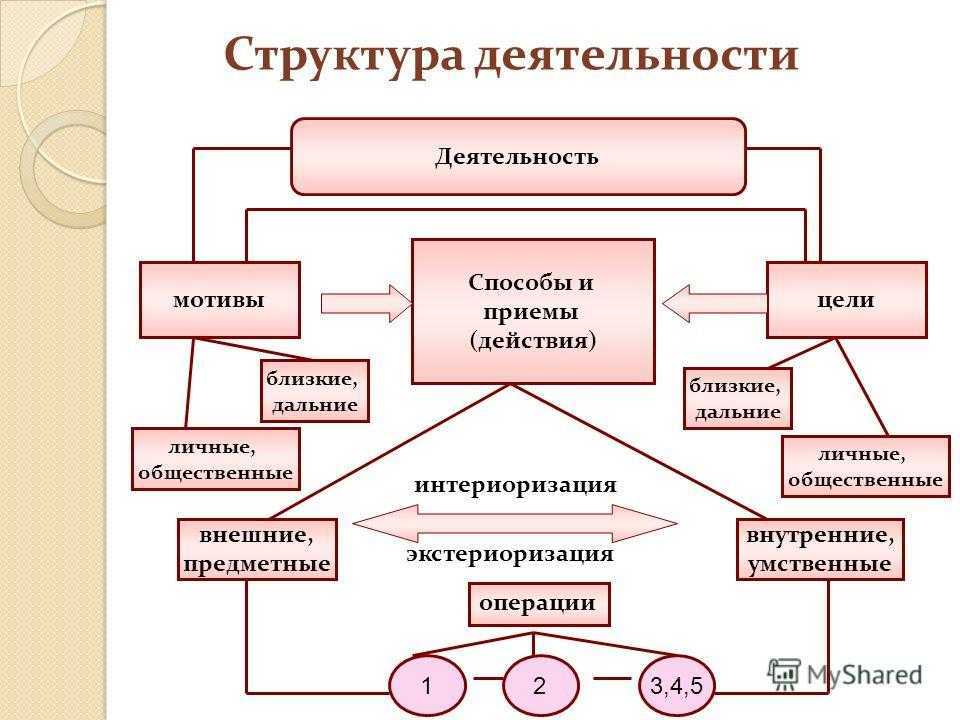 Структура деятельности: компоненты, этапы деятельности. Структура человеческой деятельности схема. Структура и виды деятельности в психологии.