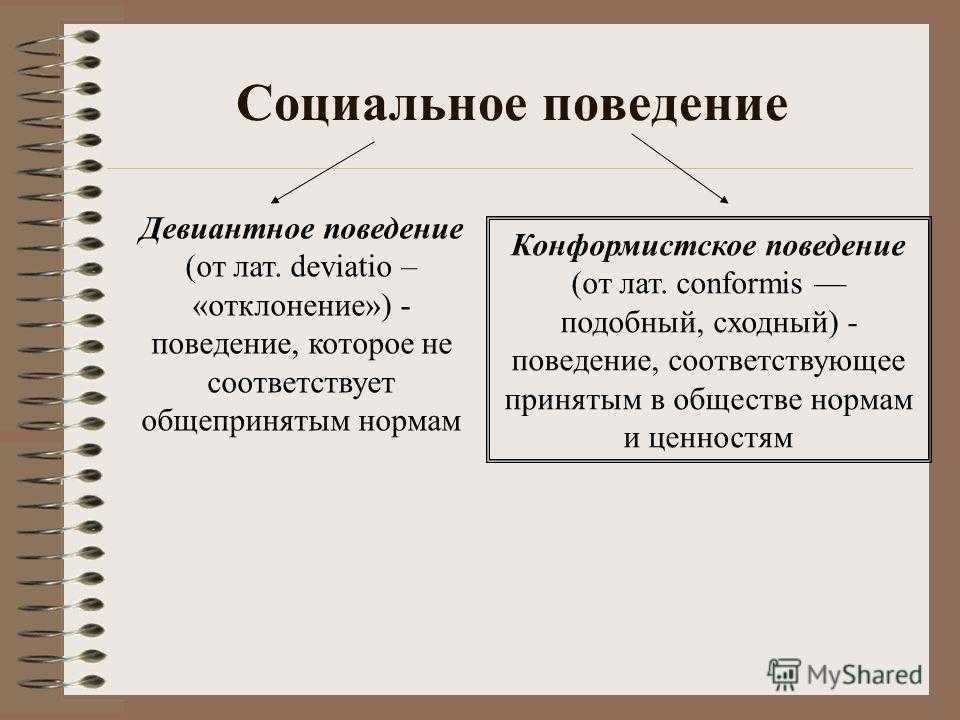 Образец общепринятого поведения называют