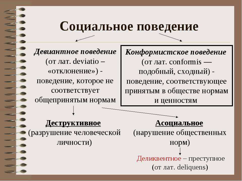 Образец поведения человека