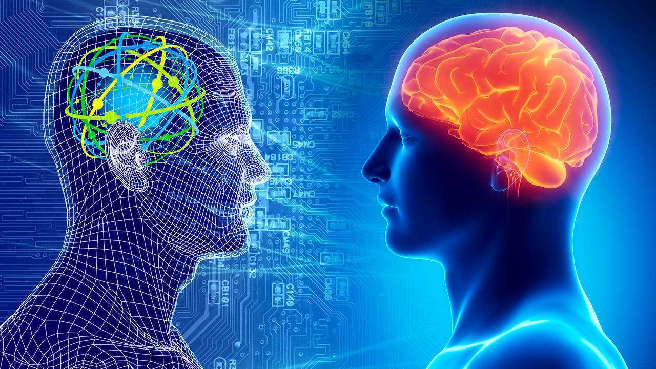 В чем разница между умом и разумом? | в чем разница
