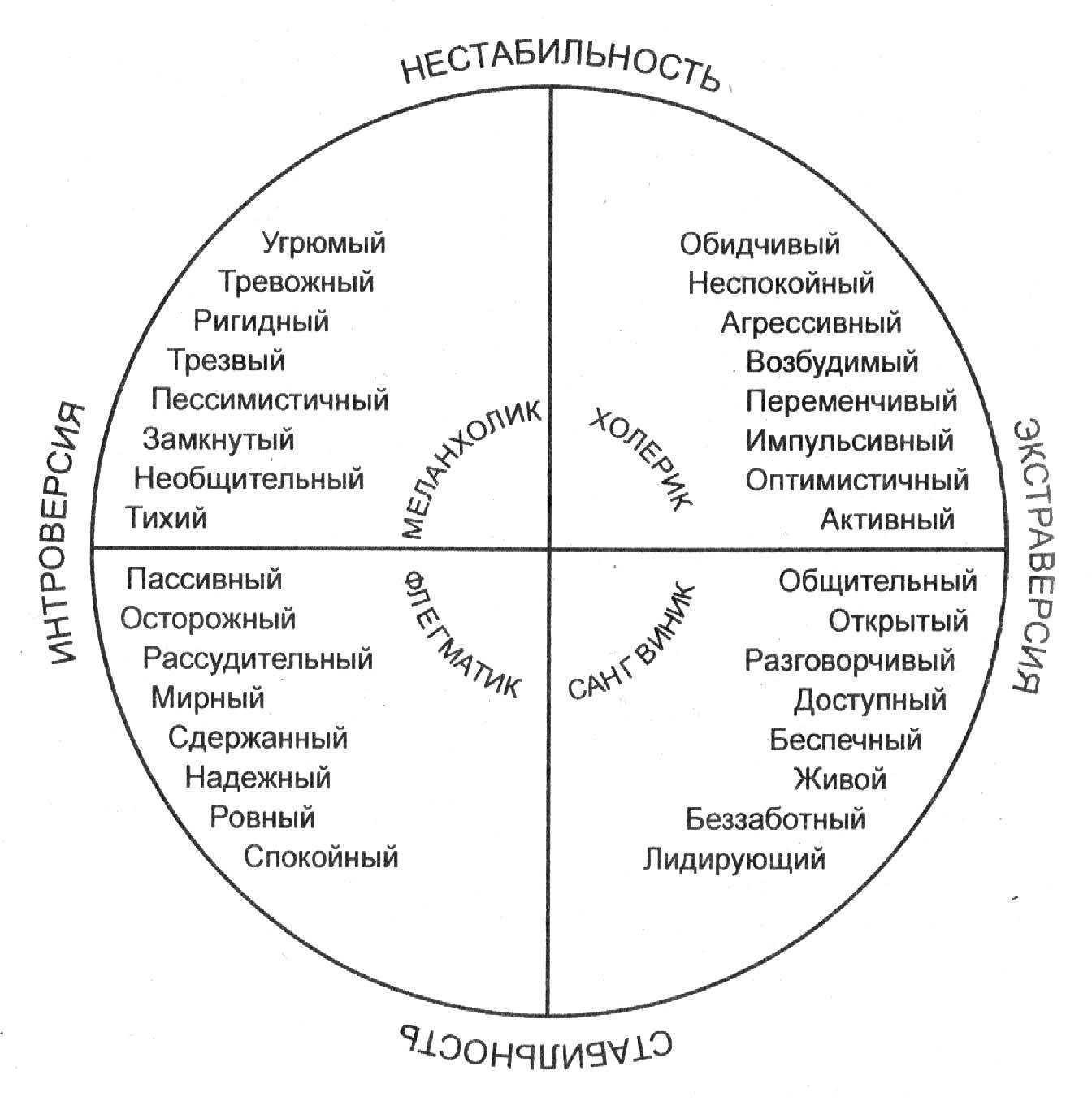 Амбиверт: каковы особенности темперамента, личности и характера? – impulsion.ru